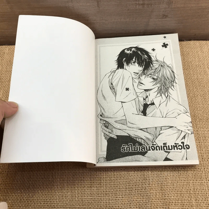 การ์ตูนวาย รักไม่เล่น จัดเต็มหัวใจ - Mei Sakuraga รูปที่ 6