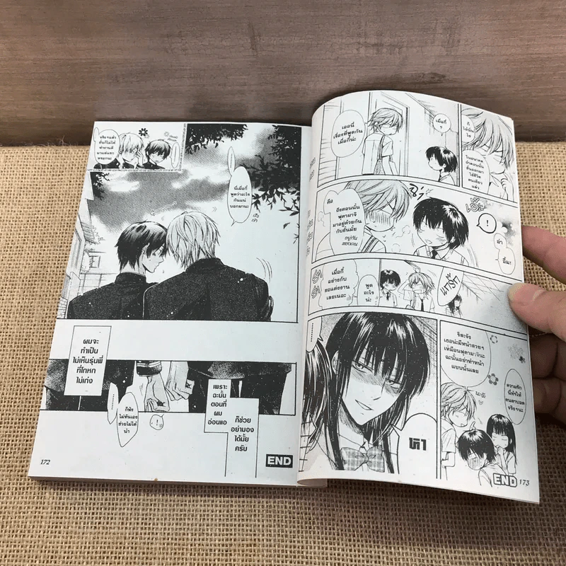 การ์ตูนวาย รักไม่เล่น จัดเต็มหัวใจ - Mei Sakuraga รูปที่ 7