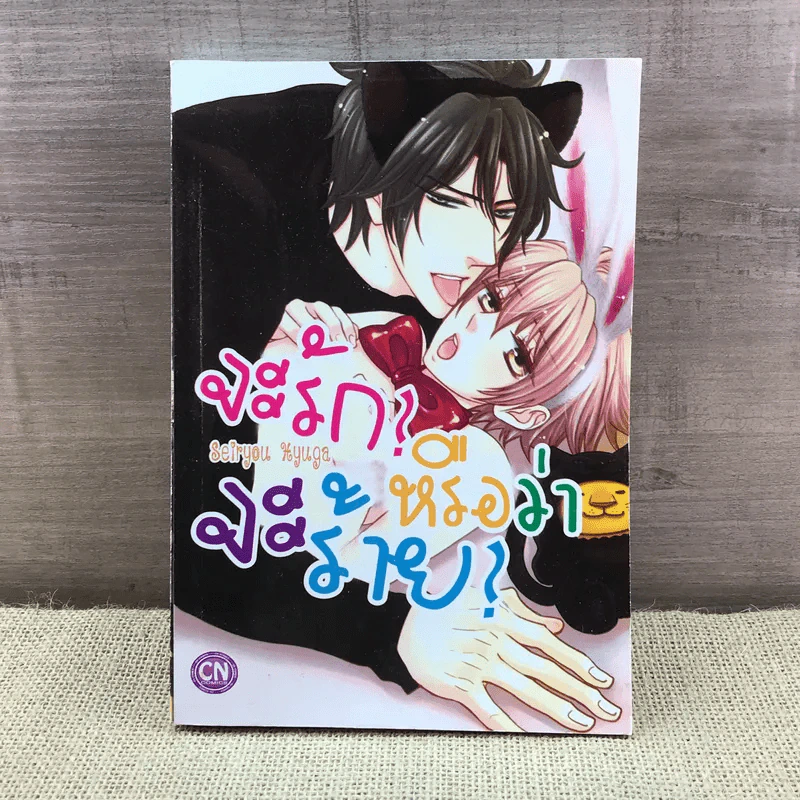 การ์ตูนวาย จะรักหรือว่าจะร้าย - Seiryou Hyuga รูปที่ 1