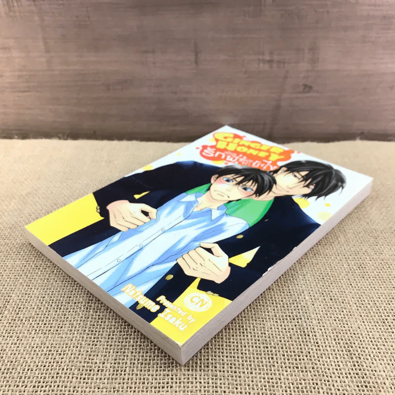 การ์ตูนวาย Ginger Honey รักเพื่อนพี่ต้องทำยังไง - Natsume Isaku รูปที่ 4