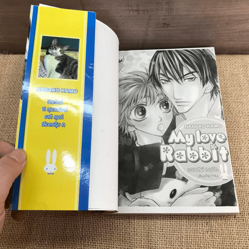 การ์ตูนวาย My Love Rabbit มาย เลิฟ แรบบิท - Nabako Kamo รูปที่ 6