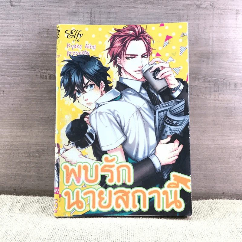 การ์ตูนวาย พบรักนายสถานี - Kyoko Aiba รูปที่ 1