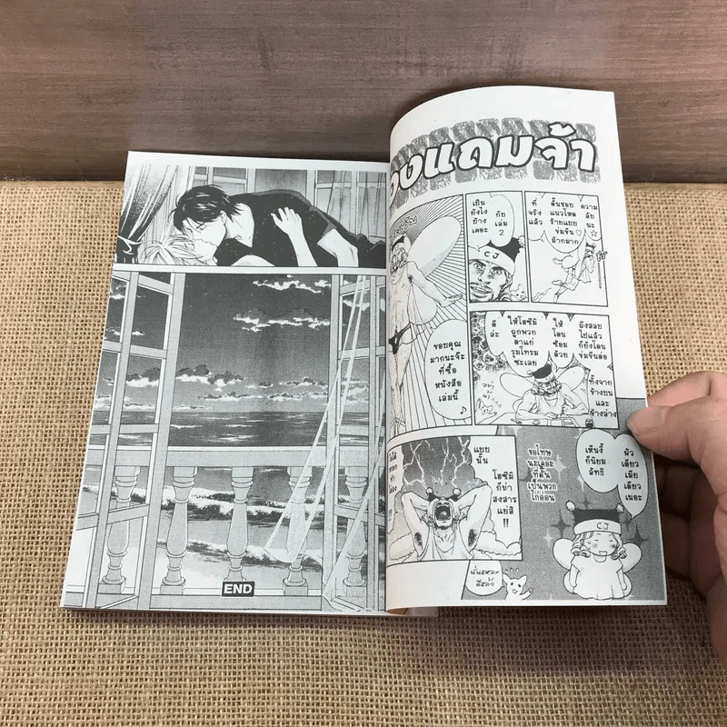 การ์ตูนวาย จำเลยพิศวาส 2 เล่มจบ - Michalski รูปที่ 11
