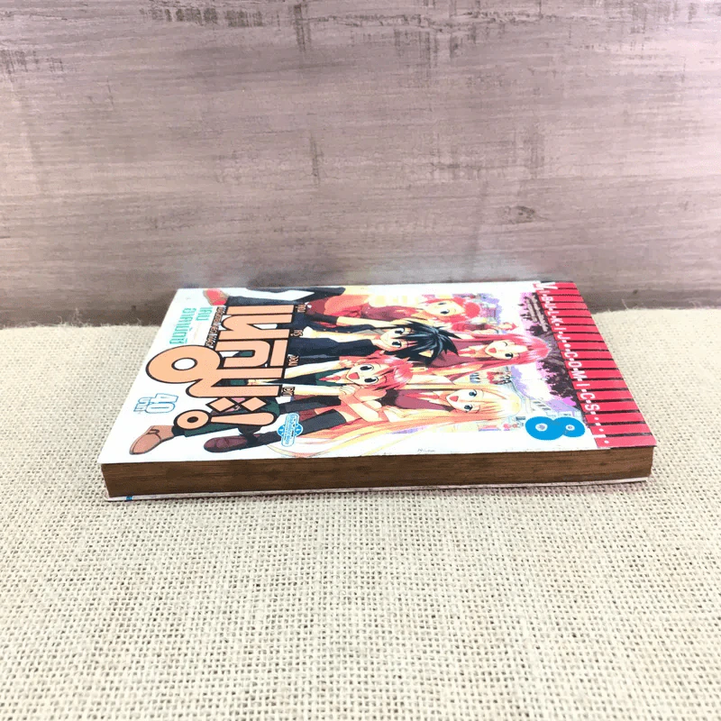 คุณครูจอมเวท เนกิมะ! เล่ม 8 รูปที่ 3