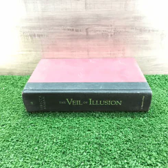 The Veil of Illusion - Rebecca Ryman รูปที่ 2