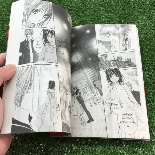 Vampire Knight เล่ม 2,3,4 รูปที่ 12