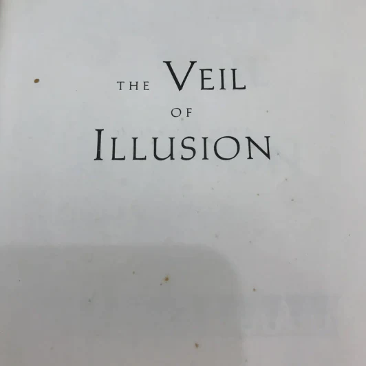 The Veil of Illusion - Rebecca Ryman รูปที่ 6