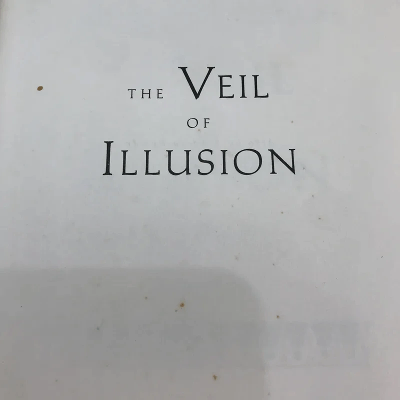 The Veil of Illusion - Rebecca Ryman รูปที่ 6