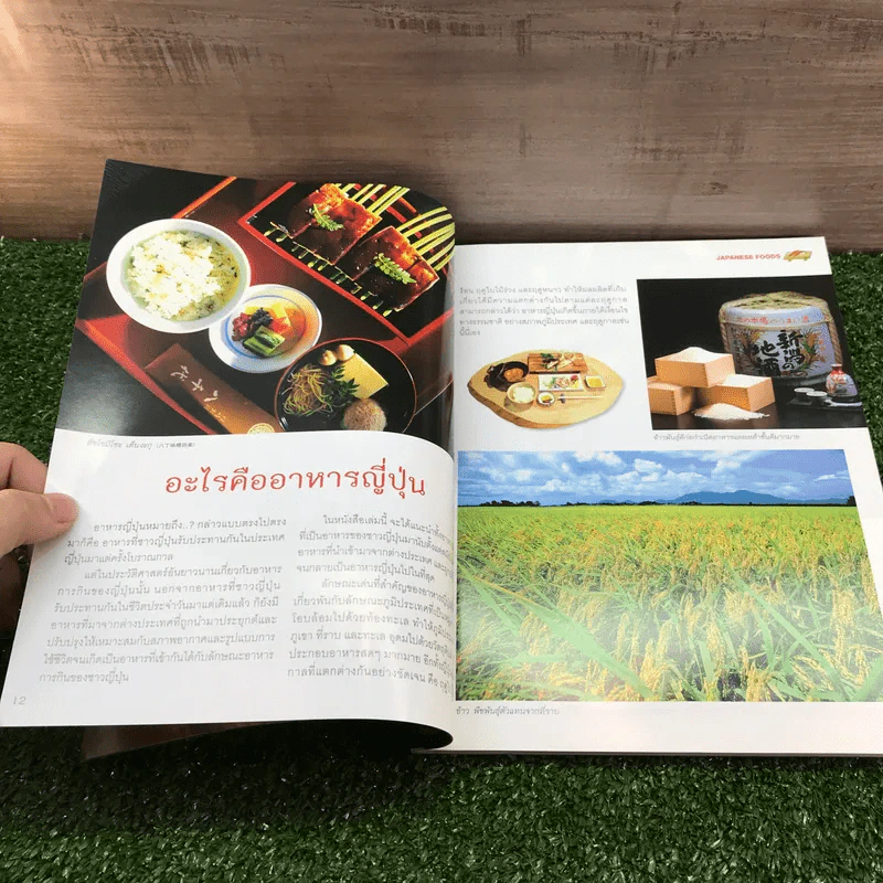 Japanese Foods ศิลปกรรมความอร่อยจากดินแดนซะคุระ รูปที่ 12