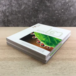 พิศเจริญ เล่ม 1-2 อัลบั้มภาพและอมตธรรมแห่งสองศรีพระศาสนา รูปที่ 4