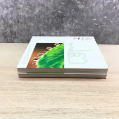 พิศเจริญ เล่ม 1-2 อัลบั้มภาพและอมตธรรมแห่งสองศรีพระศาสนา รูปที่ 3