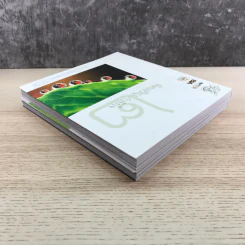 พิศเจริญ เล่ม 1-2 อัลบั้มภาพและอมตธรรมแห่งสองศรีพระศาสนา รูปที่ 5