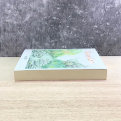 สื่อสองโลก - แก้วเก้า รูปที่ 3