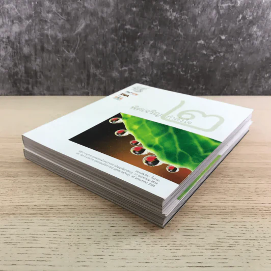 พิศเจริญ เล่ม 1-2 อัลบั้มภาพและอมตธรรมแห่งสองศรีพระศาสนา รูปที่ 4