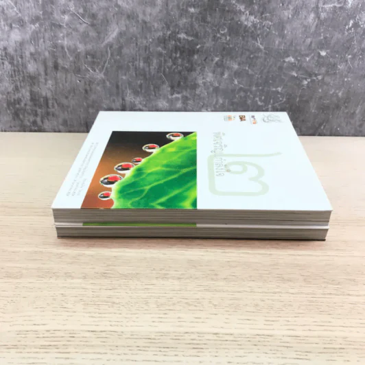 พิศเจริญ เล่ม 1-2 อัลบั้มภาพและอมตธรรมแห่งสองศรีพระศาสนา รูปที่ 3