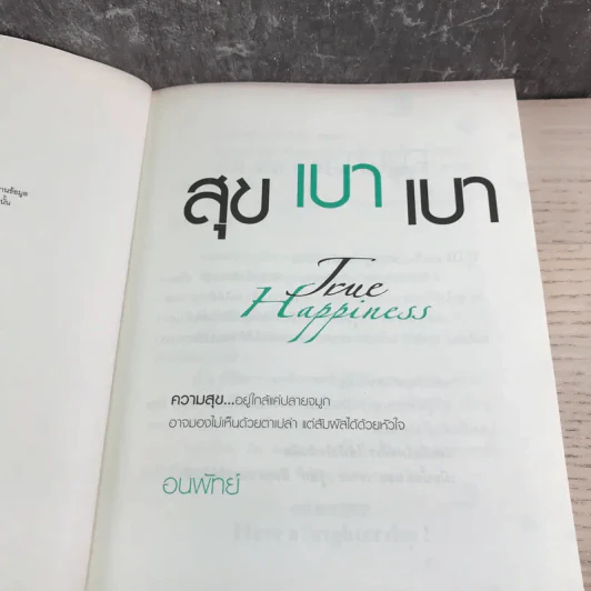 สุขเบาเบา The Happiness - อนพัทย์ รูปที่ 8