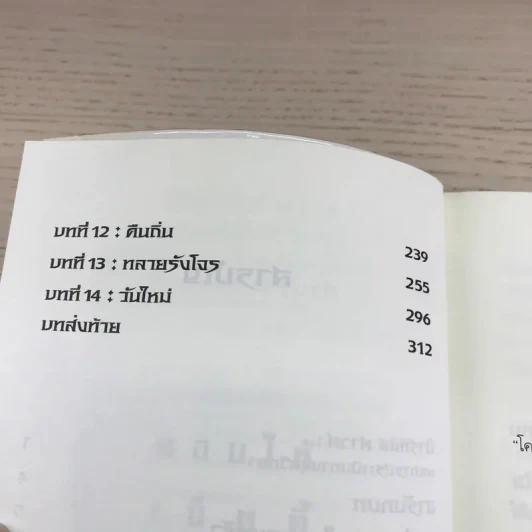 อาร์ทิมิส ฟาวล์ มหันตภัยในอาร์กติก รูปที่ 9