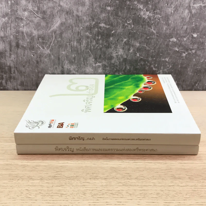 พิศเจริญ เล่ม 1-2 อัลบั้มภาพและอมตธรรมแห่งสองศรีพระศาสนา รูปที่ 2