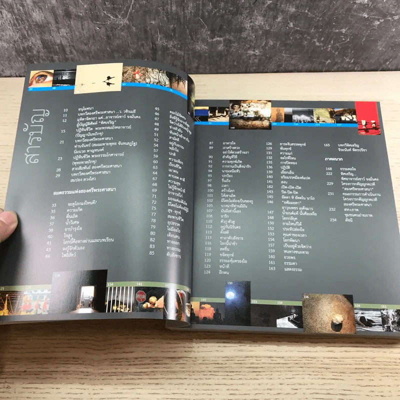 พิศเจริญ เล่ม 1-2 อัลบั้มภาพและอมตธรรมแห่งสองศรีพระศาสนา รูปที่ 19