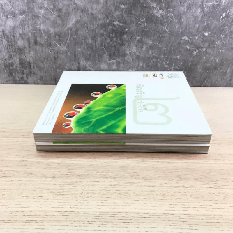 พิศเจริญ เล่ม 1-2 อัลบั้มภาพและอมตธรรมแห่งสองศรีพระศาสนา รูปที่ 3