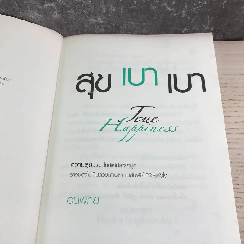สุขเบาเบา The Happiness - อนพัทย์ รูปที่ 8