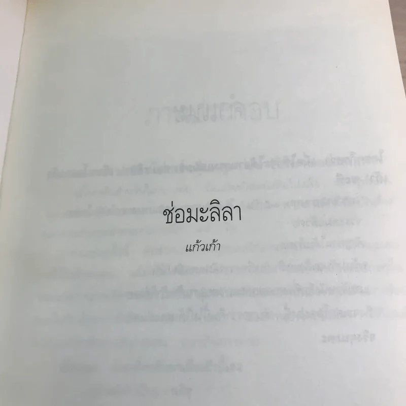 ช่อมะลิลา - แก้วเก้า รูปที่ 7