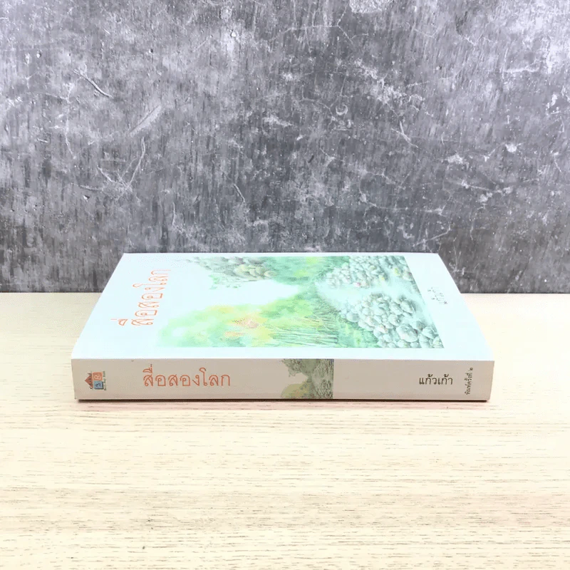 สื่อสองโลก - แก้วเก้า รูปที่ 2