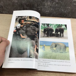 สาธุช่วยลูกช้างด้วย - ธีรภาพ โลหิตกุล รูปที่ 15