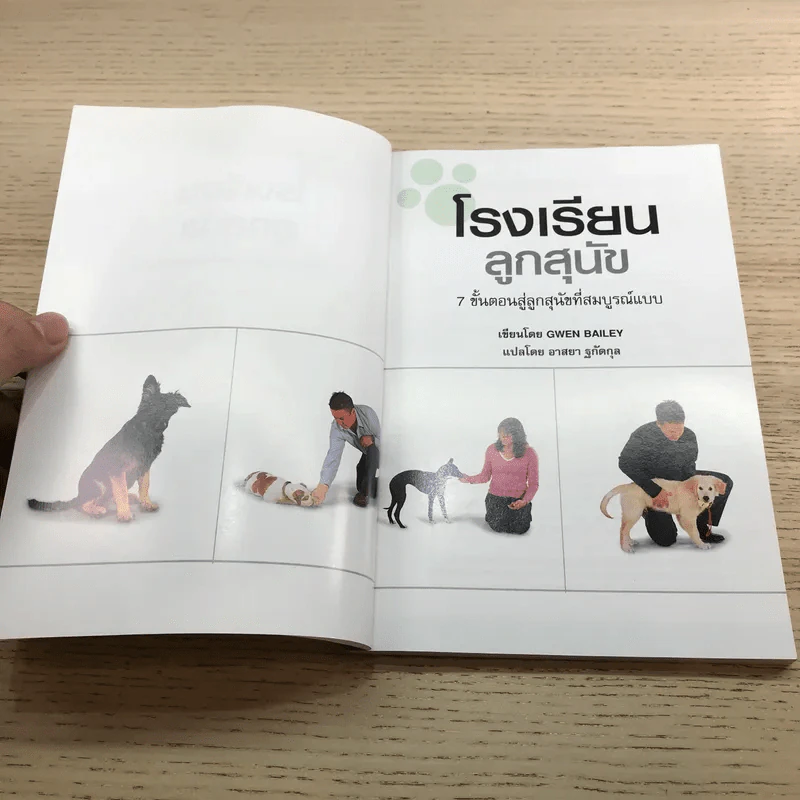 โรงเรียนลูกสุนัข Puppy School - Gwen Bailey รูปที่ 7