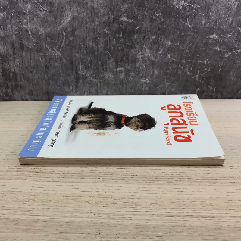 โรงเรียนลูกสุนัข Puppy School - Gwen Bailey รูปที่ 3