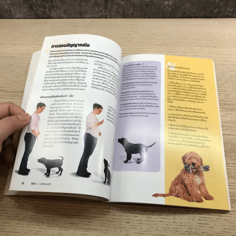 โรงเรียนลูกสุนัข Puppy School - Gwen Bailey รูปที่ 14