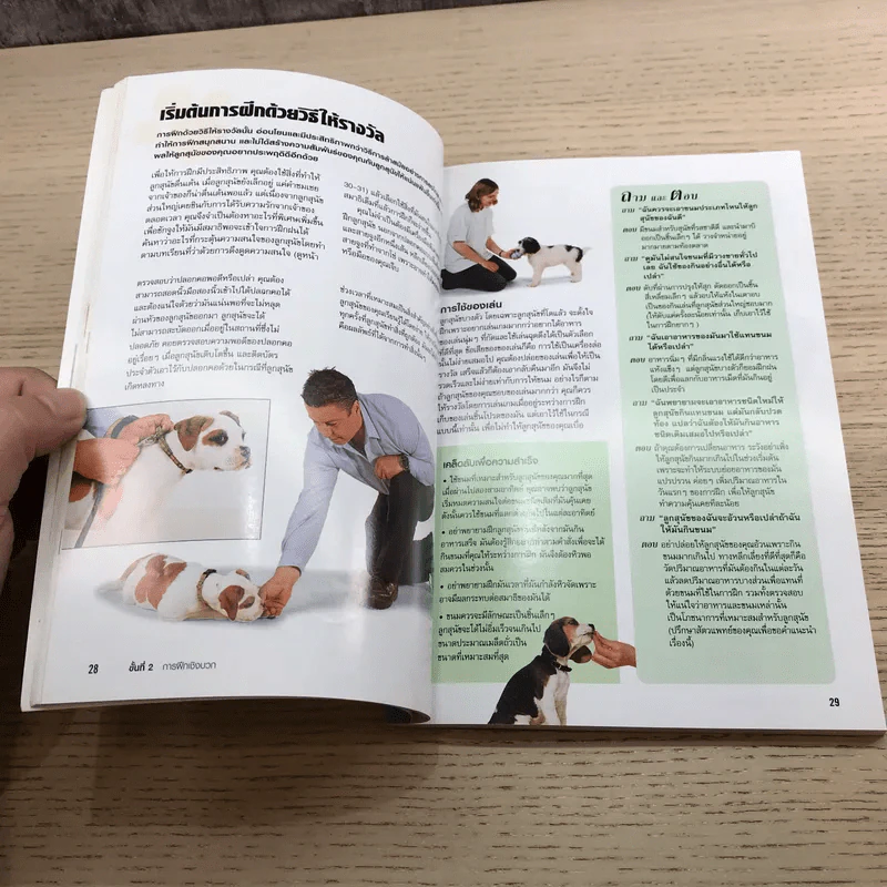 โรงเรียนลูกสุนัข Puppy School - Gwen Bailey รูปที่ 12