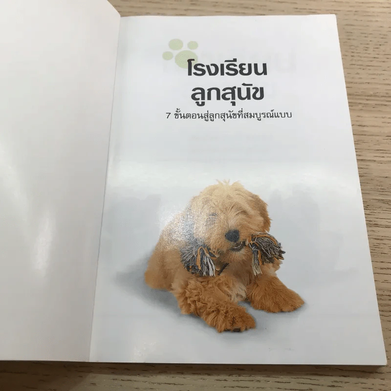 โรงเรียนลูกสุนัข Puppy School - Gwen Bailey รูปที่ 6