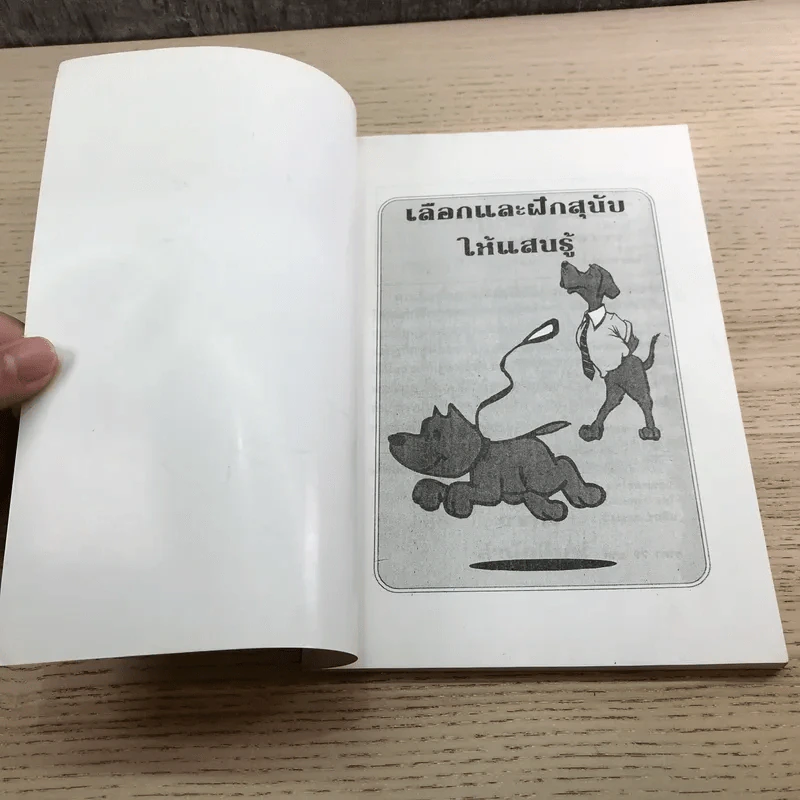 เลือกและฝึกสุนัขให้แสนรู้ - แทนไท อ.ตระกูล รูปที่ 6
