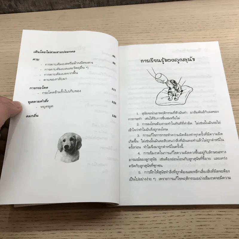 คู่มือฝึกหมาให้เป็นสุนัข - สมลักษณ์ สว่างโรจน์ รูปที่ 11