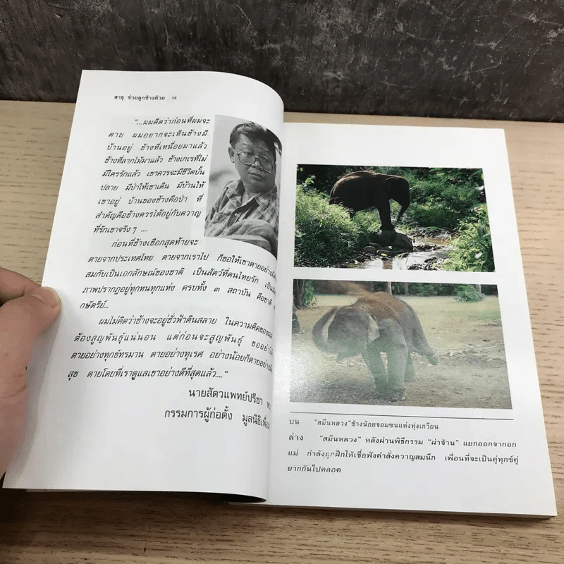 สาธุช่วยลูกช้างด้วย - ธีรภาพ โลหิตกุล รูปที่ 14