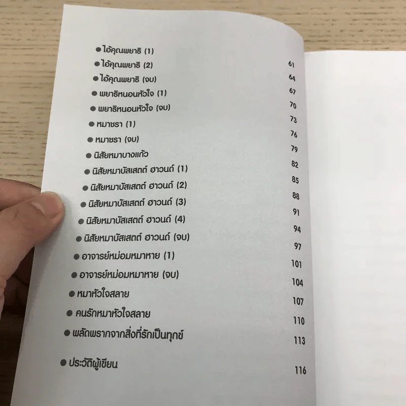 คนรักหมา - บัญชร ชวาลศิลป์ รูปที่ 11