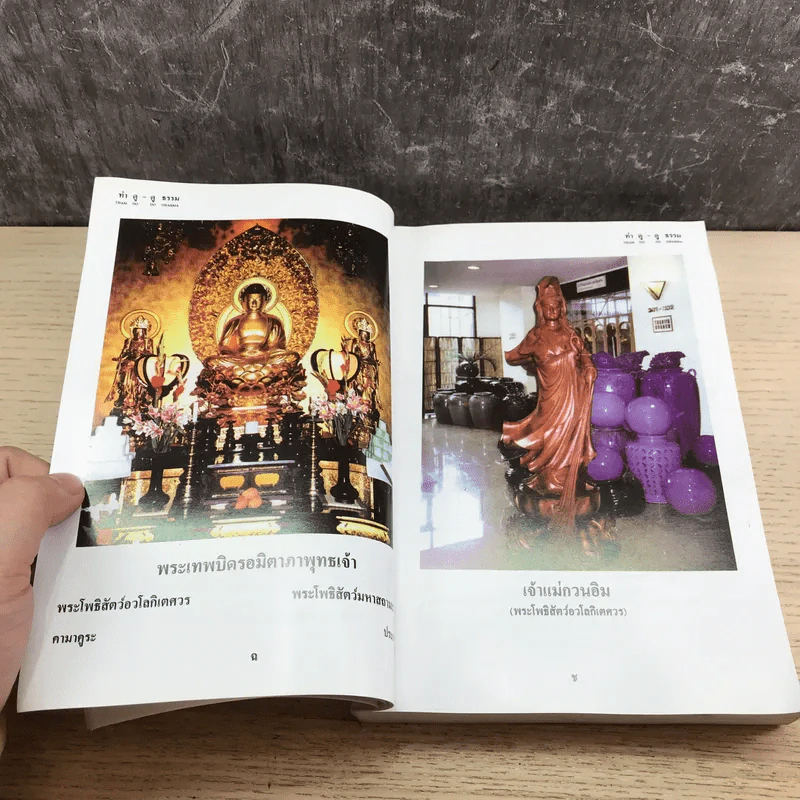 อนุสรณ์วิปัสสนา รู้แจ้งชัดตามความจริง ทำ ดู - ดู ธรรม รูปที่ 11