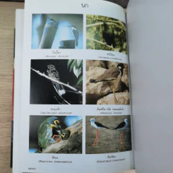พจนานุกรมฉบับราชบัณฑิตยสถาน พ.ศ.2542 รูปที่ 15