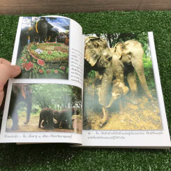 เรื่องช้างยังไม่จืด - ธีรภาพ โลหิตกุล รูปที่ 11