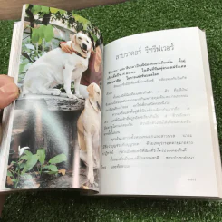 หมา - เชียง (พิมพ์ครั้งแรกในนิตยสารพลอยแกมเพชร) รูปที่ 12