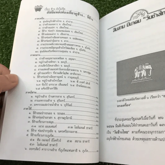 เรื่องช้างยังไม่จืด - ธีรภาพ โลหิตกุล รูปที่ 13