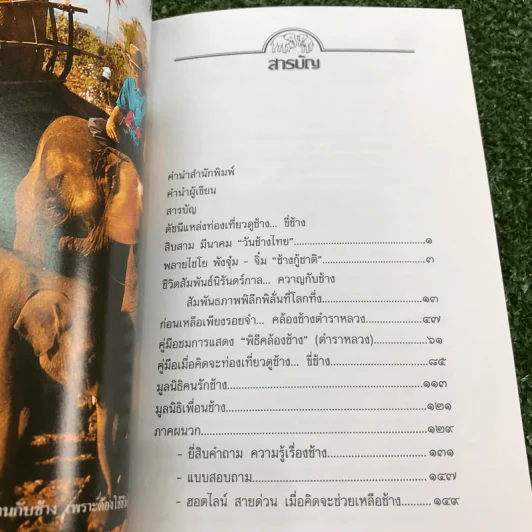 เรื่องช้างยังไม่จืด - ธีรภาพ โลหิตกุล รูปที่ 12