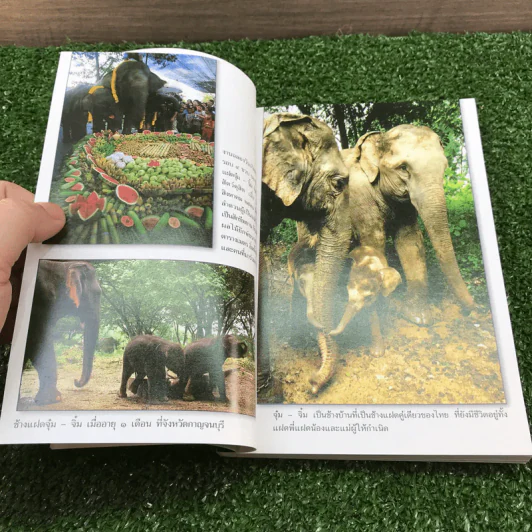เรื่องช้างยังไม่จืด - ธีรภาพ โลหิตกุล รูปที่ 11