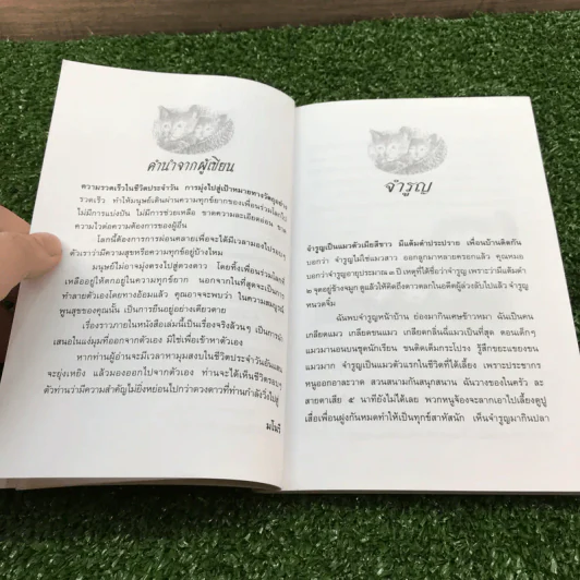 เรื่องสั้นสัตว์เลี้ยงแสนรัก คุณป้าพยอม - มโนรี รูปที่ 11