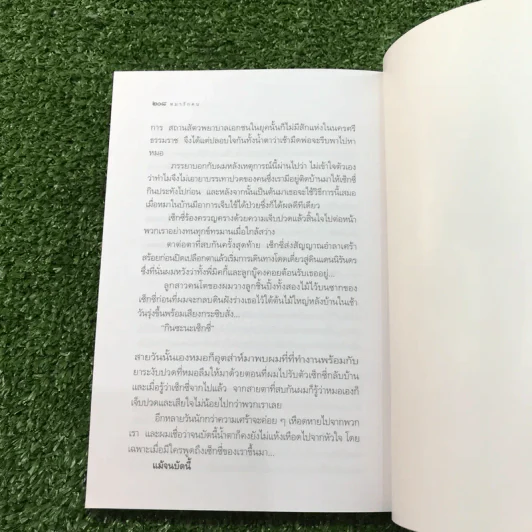 หมารักคน + บ้านเล็กเปี่ยมรัก + หมาต่างมุม + คือบ้านที่มีชีวิต + ดอกฟ้ากับหมาวัด - บัญชร ชวาลศิลป์ รูปที่ 28