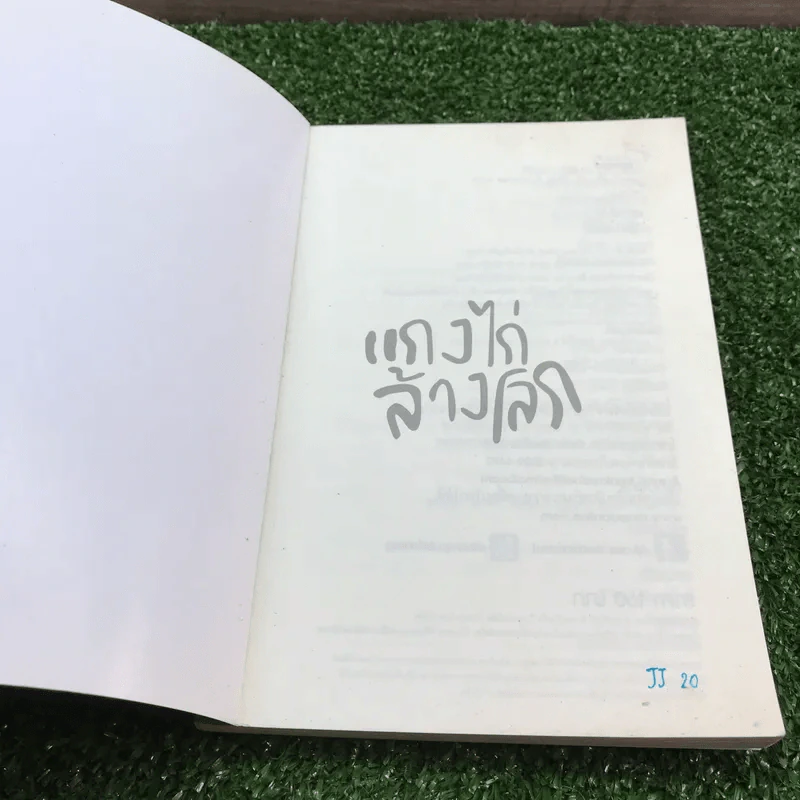 แกงไก่ล้างโลก - พิง ลำพระเพลิง รูปที่ 6