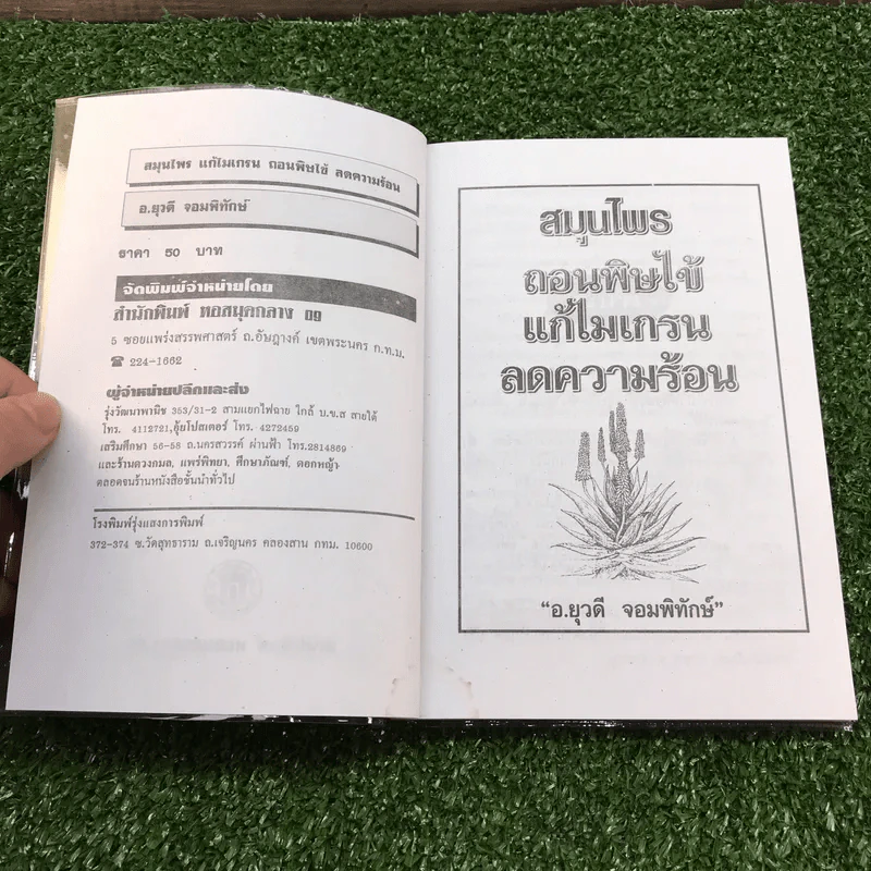 สมุนไพร แก้ไมเกรน ลดความร้อน ถอนพิษไข้ - อ.ยุวดี จอมพิทักษ์ รูปที่ 7