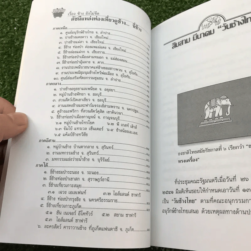 เรื่องช้างยังไม่จืด - ธีรภาพ โลหิตกุล รูปที่ 13