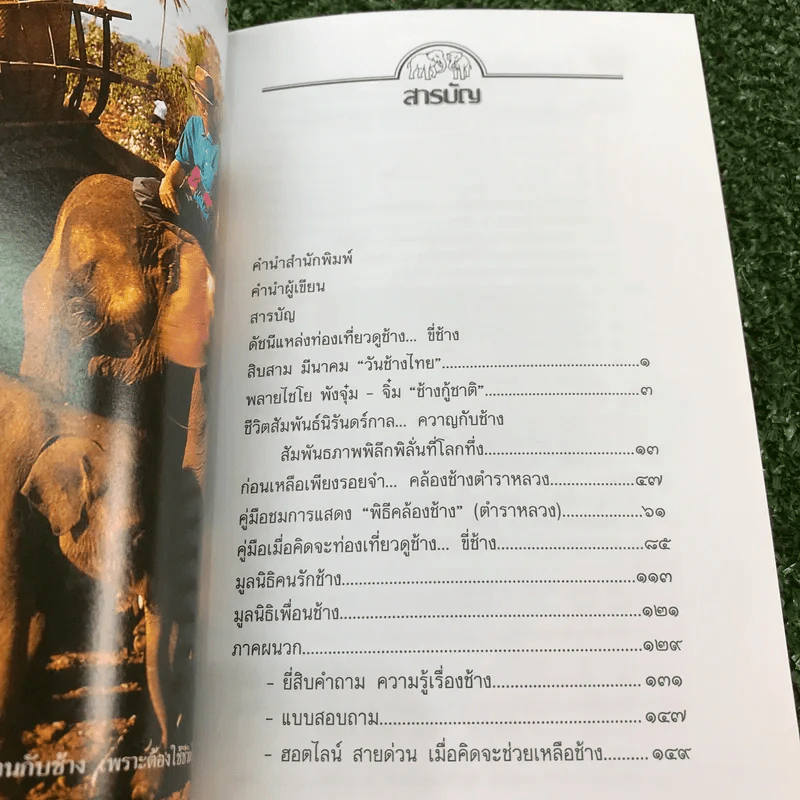 เรื่องช้างยังไม่จืด - ธีรภาพ โลหิตกุล รูปที่ 12